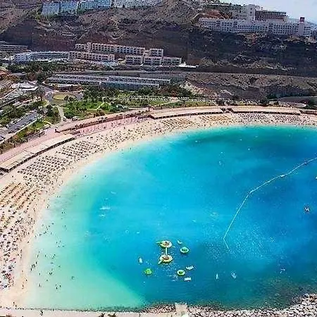 Moguel Canarian 1º *